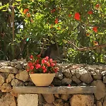 Nejasmic - Little House For Peaceful And Domestic Vacation Appartamento