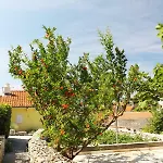 Appartamento Nejasmic - Little House For Peaceful And Domestic Vacation *