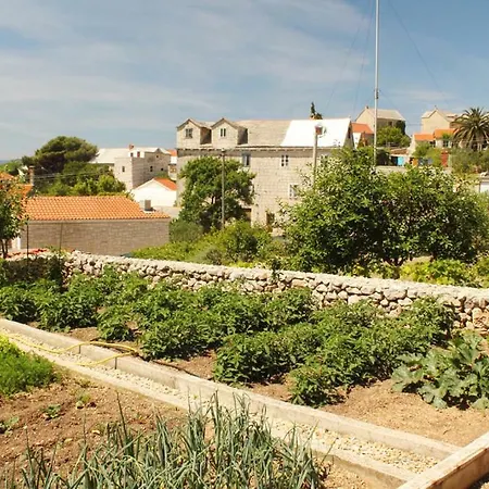 Appartamento Nejasmic - Little House For Peaceful And Domestic Vacation *